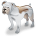 grupo accioninmobilaria blog prohibir mascotas en pisos de alquiler icono perro domestico ¿Es legal prohibir mascotas en los pisos de alquiler?
